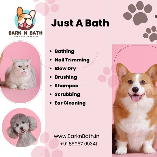 Bark and sale bath dog grooming